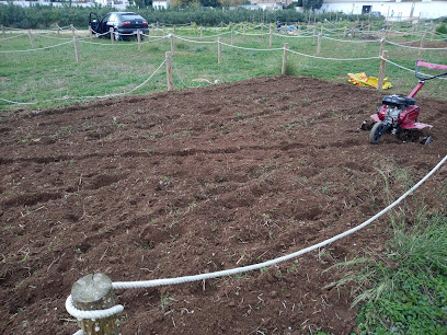 Ecoparque Paiporta Picaña - Punto Limpio en Paiporta. Servicio de gestión de residuos
