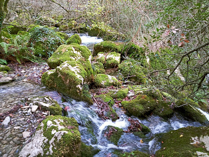 Nacimiento del Río Cadagua (Burgos) en Cadagua. Zona de senderismo