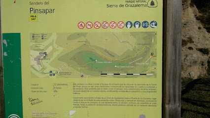 Sendero del Pinsapar en Grazalema. Zona de senderismo