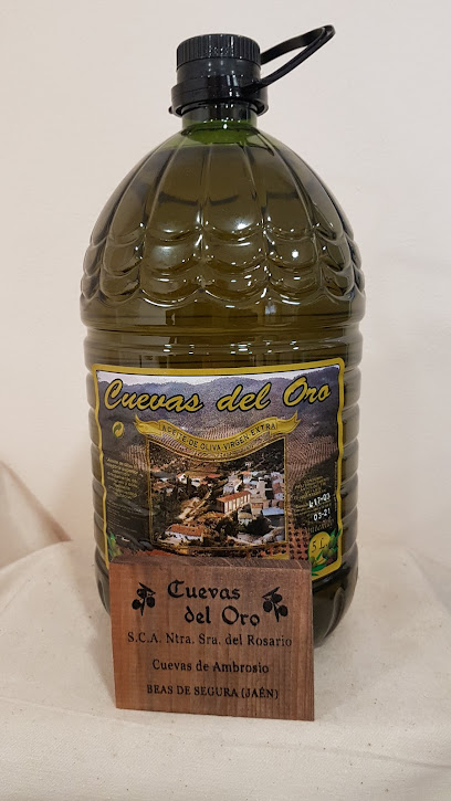 JAEN EN UNA BOTELLA en Albanchez de Mágina. Cooperativa de aceite de oliva