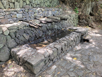 Chorros de Epina en Vallehermoso. Lugar de interés histórico