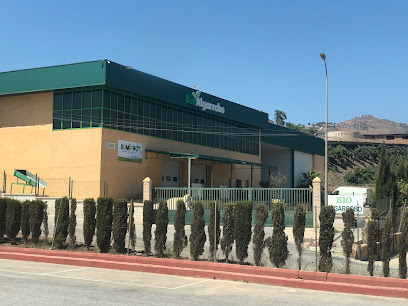 Bioalgarrobo S.L en Algarrobo. Mayorista de frutas y hortalizas