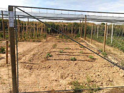 HORTS LÚDICS PLA D'URGELL en Vila-sana. Huerto