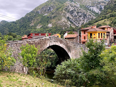 cueva del conde en Tuñón. Centro artístico