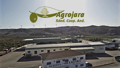 Agrojara S C A en Martín de la Jara. Oficinas de empresa