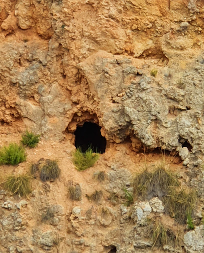 Cuevas del Turco