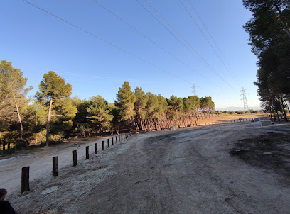 La Moleona en Atarfe. Zona de pícnic