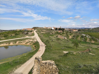Molí de la Vall Major S.L. en La Granadella. Almazara
