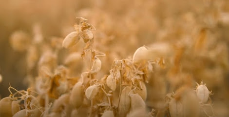 Hazialdeko en Noáin. Cooperativa agropecuaria