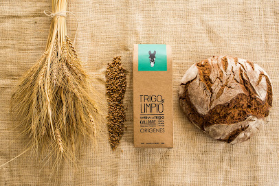 TRIGO Y LIMPIO en A Marco da Fontela. Tienda de delicatessen