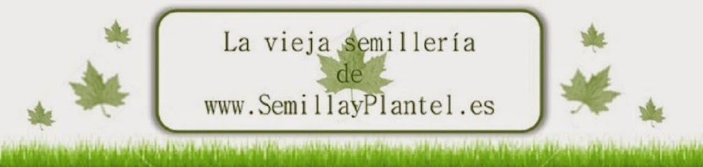 www.semillayplantel.es en Santa Cruz de Bezana. Huerto
