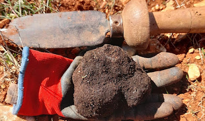 Oro Negro de Soria en Urb. las Camaretas. Mercado de productos del campo