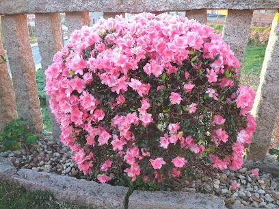 Eco Oia en Viladesuso. Servicio de jardinería