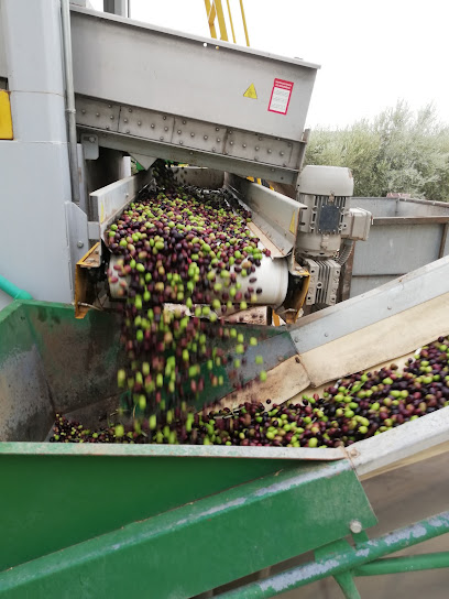 Agroganadera Pérez Racero SL - ANTOJO DEL SUR en El Saucejo. Ganadero