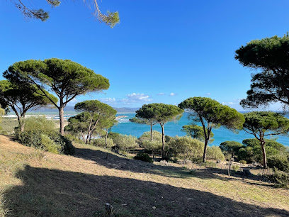 Parque natural de La Breña y Marismas del Barbate en Barbate. Refugio de vida salvaje