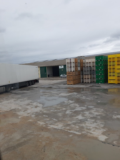 Almacen de Ajos 'la Veguilla' en Las Pedroñeras. Almacén