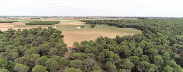 Bodega Natura en El Provencio. Bodega