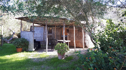 Casas Karen