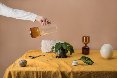 Selvaviva en Aguilar de Segarra. Servicio de plantas para interior