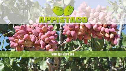 APPISTACO en Navas de San Juan. Organización agrícola