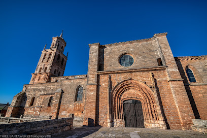 Colegiata de la Asunción de Santa María del Campo en Santa María del Campo. Iglesia apostólica