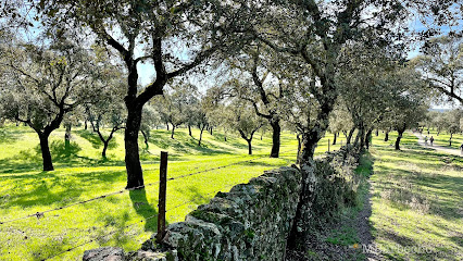 Parque Natural Sierra de Cardeña y Montoro en El Cerezo. Reserva natural