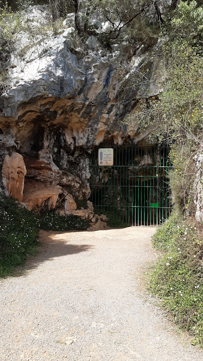 Cuevas de Monte Castillo en Puente Viesgo. Lugar de interés histórico