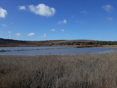 Lagunas de Espera (Sendero) en Espera. Zona de senderismo