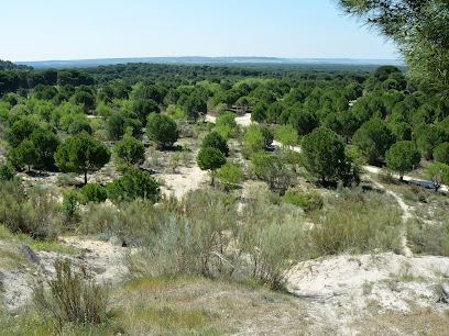 Espacio natural de la Arenera de Juarros en Aldeamayor de San Martín. Reserva natural