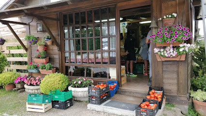 La Tienduca de Llanda en Suances. Tienda de alimentos naturales