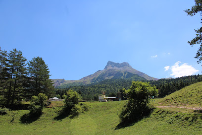 Selva de Oza en Zuriza. Parque nacional