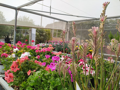 Sanchez Jardins en Felanitx. Centro de jardinería
