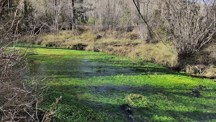 Ojos del Cabriel en El Vallecillo. Reserva natural
