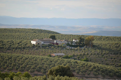 ACEITES BELLIDO. MOLINO JUAN COLÍN. OLEOTURISMO en Montilla. Empresa de embotellado de aceite de oliva