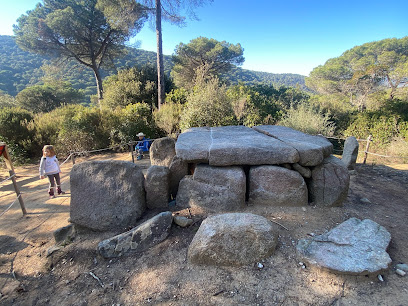 Dolmen de Ca l'Arenes en Dosrius. Yacimiento arqueológico