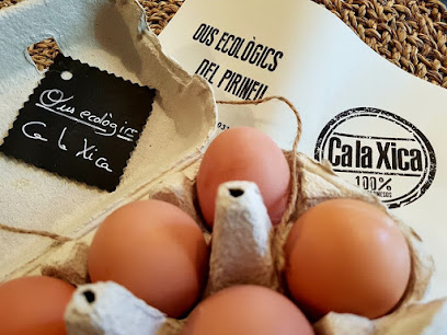 Ca la Xica en Sant Joan de les Abadesses. Granja orgánica