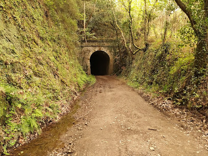 Via verde de San Tirso de Abres en San Tirso de Abres. Zona de senderismo