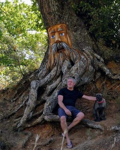 El Bosque Encantado de Parauta en Parauta. Zona de senderismo