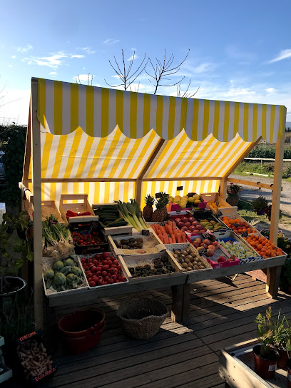 AUYAMA GROUP en Castelldefels. Tienda de alimentos naturales