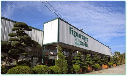 Figueragro en San Pedro de la Ramallosa. Vivero