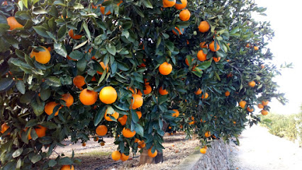 Naranjas Julian en Corbera. Tienda de alimentos naturales