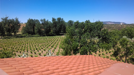 Bodegas Toribio (Enoturismo) en Puebla de Sancho Pérez. Bodega