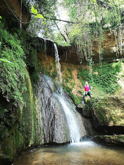 Salts d'Aigua de Cabrera d'Anoia en Canaletes. Asociación u organización