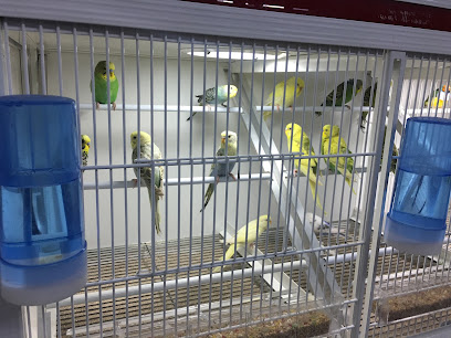 Amics Animals en Santa Perpètua de Mogoda. Tienda de animales