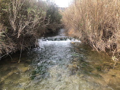 Nacimiento de la Fuente Caliente - Zona recreativa en Toga. Parque