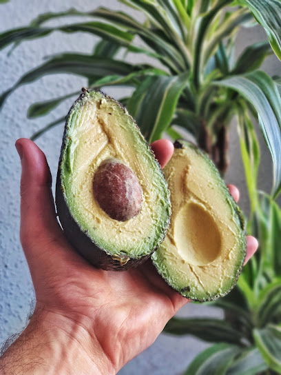 Aguacates de la terreta - Aguacates de Valencia en Picassent. Frutería