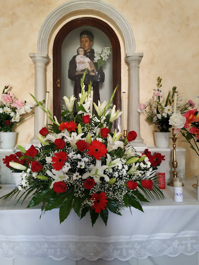 Ermita de San Antonio en Albuñol. Iglesia