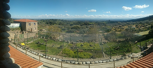 Zoo Safari Fauna Aventura en Hinojosa de San Vicente. Parque de animales salvajes y safari