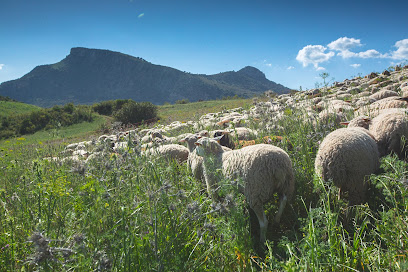 La Dehesa Biodinámica en Montecorto. Granja orgánica