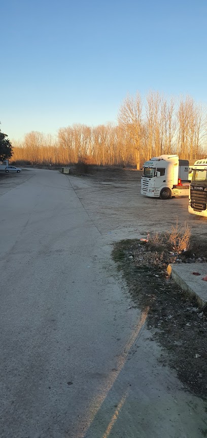 Plantas de Navarra S. A. en Fuente el Olmo de Fuentidueña. Vivero
